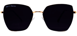 Fashionable women’s sunglasses 
UV400 protection sunglasses 
Gradient lens sunglasses with lightweight frame