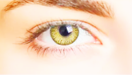 Yellow Color Empire Contact Lenses