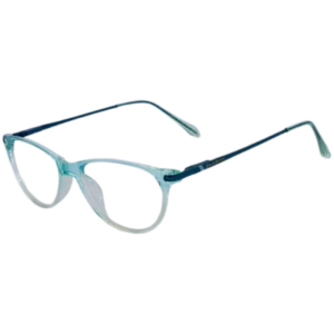JackBerry Full rim blue dual Cat eye Sheet Eyeglasses for Women